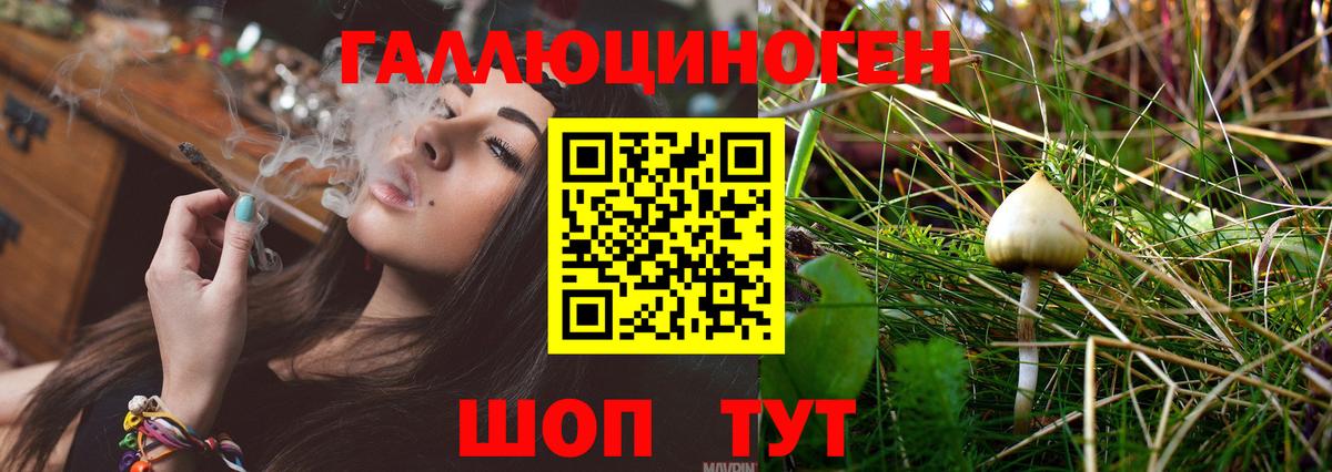 Псилоцибиновые грибы прущие грибы Тверь